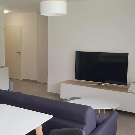 L'instant Leman - T2 3 Etoiles A 5min De Thonon Et Evian Avec Terrasse Et Jardin A 100m Du Publier